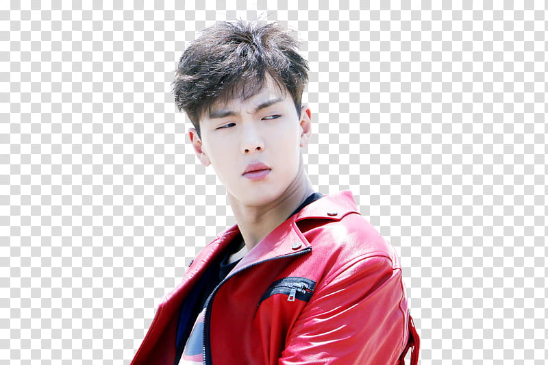 SHOWNU MONSTA X transparent background PNG clipart