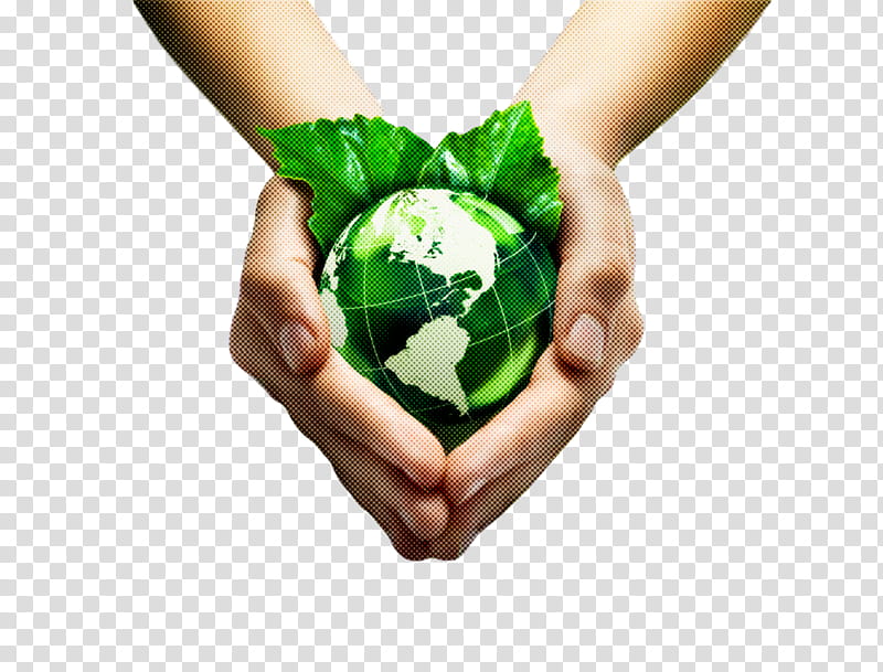 earth day save the world save the earth, Green, Hand, Gesture, Holding Hands, Heart, Symbol, Animation transparent background PNG clipart
