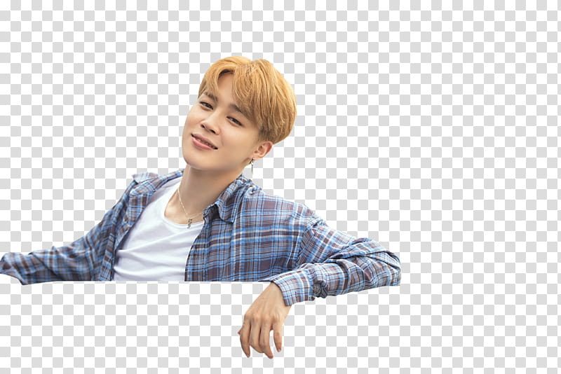 BTS Summer age in Saipan, smiling man wearing blue and multicolored plaid button-up dress shirt transparent background PNG clipart