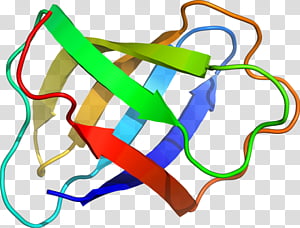 Line, Point, Area transparent background PNG clipart thumbnail