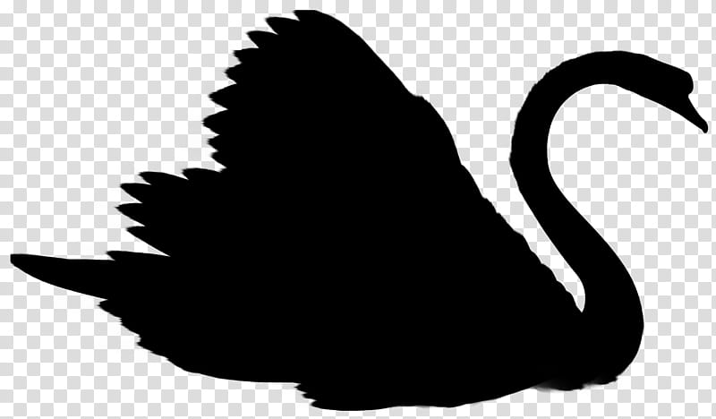 Bird Silhouette, Duck, Swans, Goose, Neck, Beak, Black Swan, Ducks Geese And Swans transparent background PNG clipart