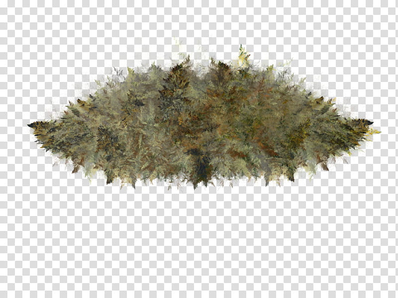Aqua Set Fractal Set III, brown moss transparent background PNG clipart