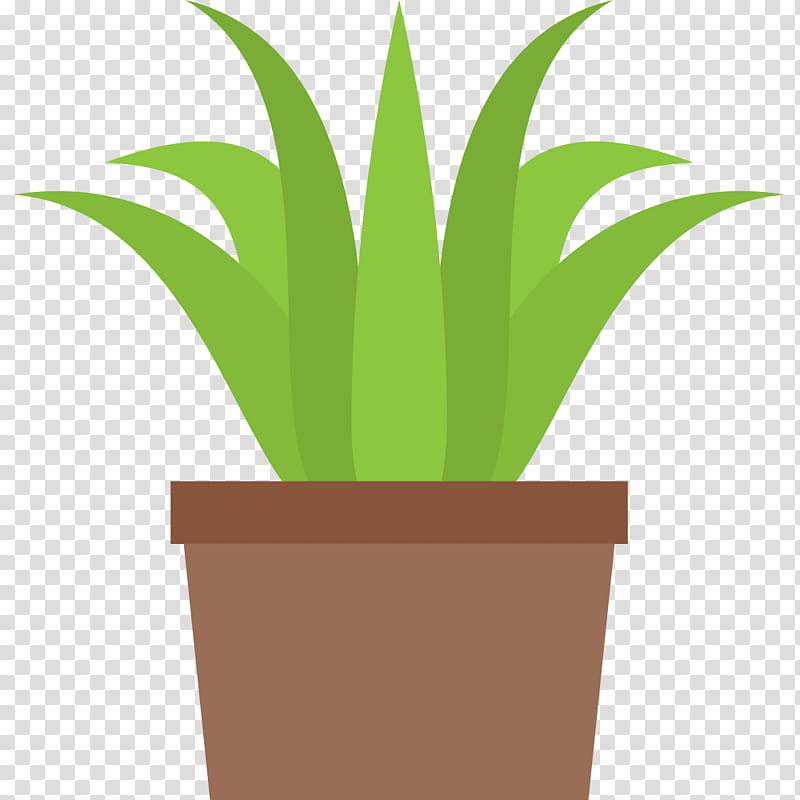 Cartoon Palm Tree, Flowerpot, Penjing, Palm Trees, Cactus, Plants, Houseplant, Leaf transparent background PNG clipart