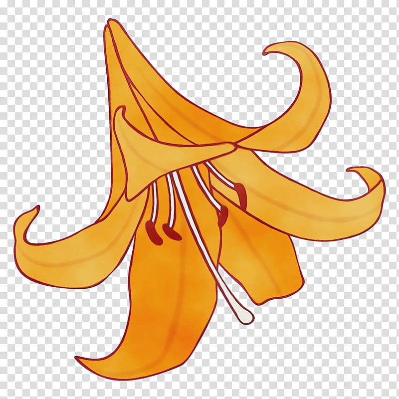 yellow canada lily plant, Watercolor, Paint, Wet Ink transparent background PNG clipart