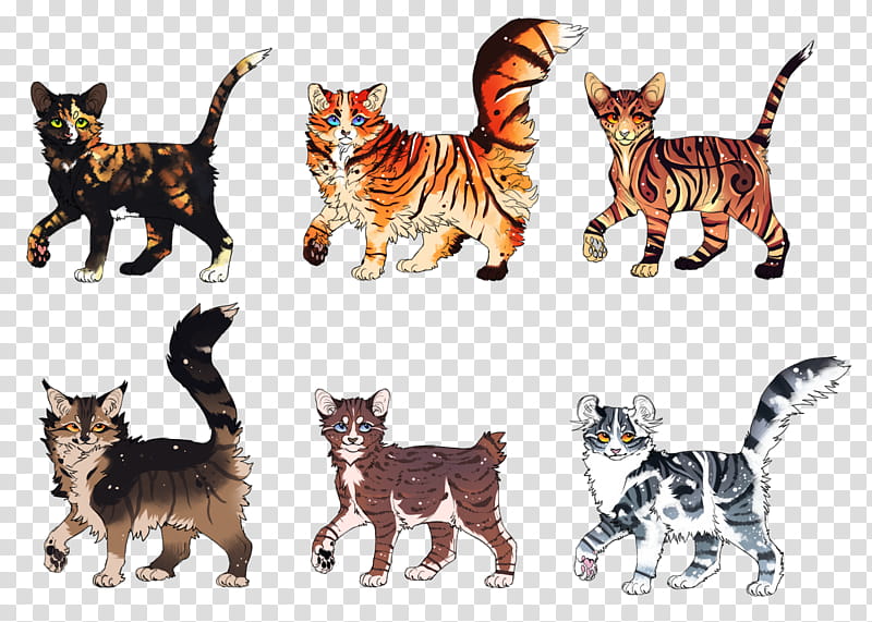 Kitten, Cat, Wildcat, Tiger, Animal, Warriors, Adoption, Creativity transparent background PNG clipart