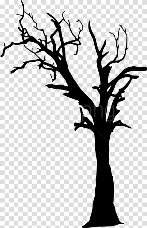 Tree Trunk Drawing, Silhouette, Death, Branch, Twig, Woody Plant, Leaf, Plant Stem transparent background PNG clipart