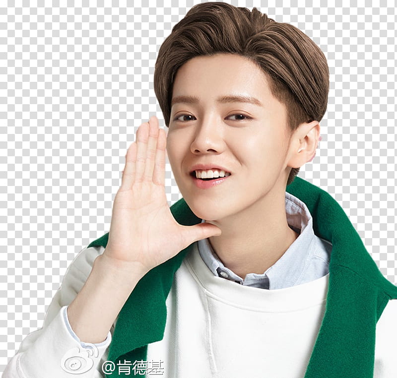 Lu Han KFC PT transparent background PNG clipart