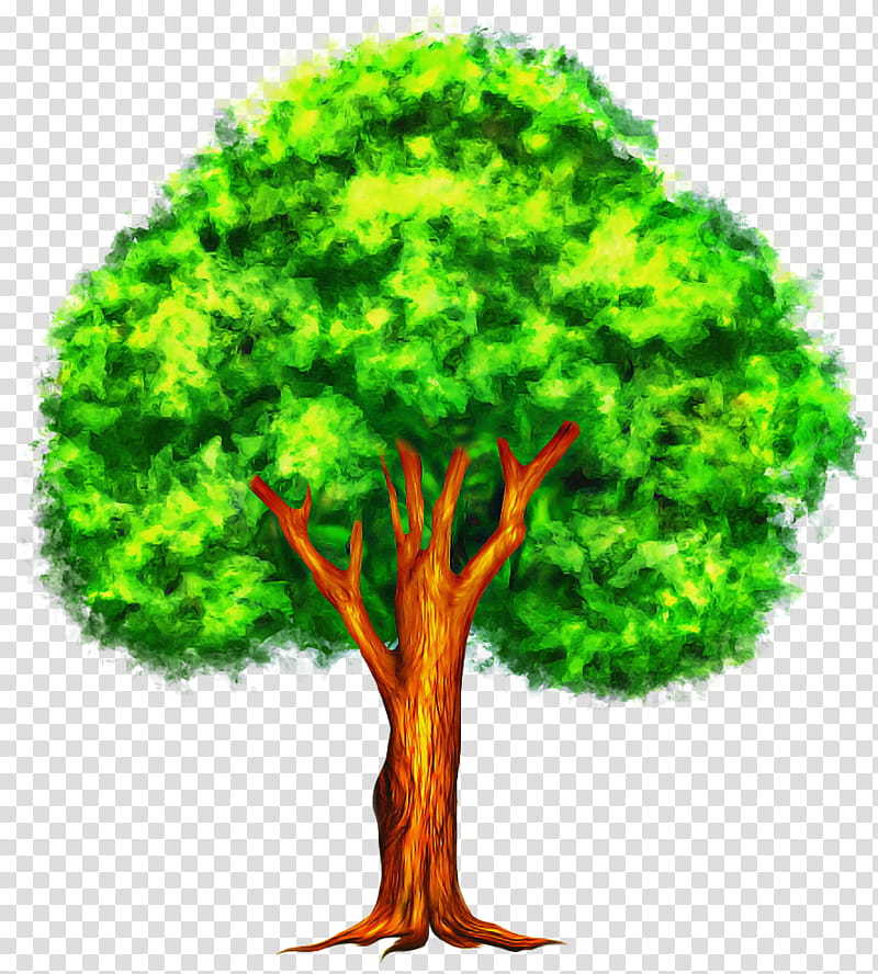 Arbor day, Tree, Green, Plant, Woody Plant, Grass, Trunk transparent background PNG clipart