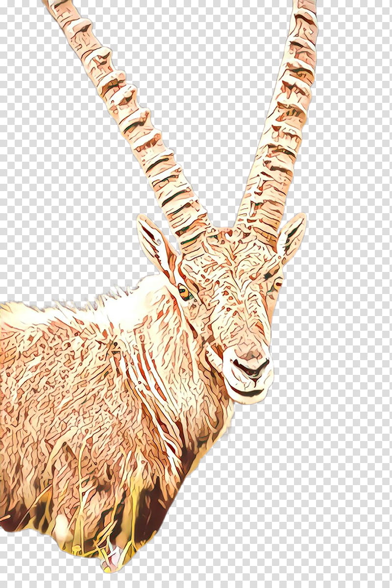 antelope goats horn waterbuck cow-goat family, Cowgoat Family, Wildlife, Snout, Gazelle transparent background PNG clipart