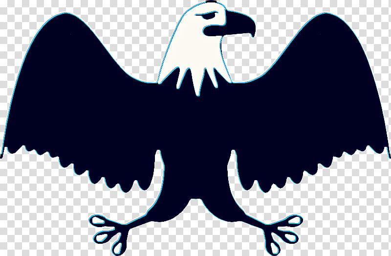 Eagle Drawing, Bald Eagle, Whitetailed Eagle, Bird, Golden Eagle, Beak, Bird Of Prey, Vulture transparent background PNG clipart