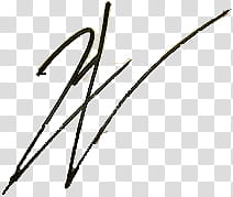 Firmas de famosos Famous signatures in, black lines transparent background PNG clipart