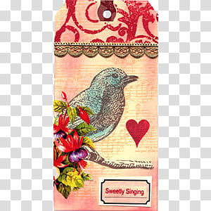 , blue bird perched on tree branch poster transparent background PNG clipart