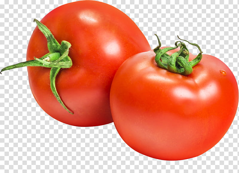 Tomato, Natural Foods, Bush Tomato, Local Food, Solanum, Fruit, Vegetable, Plum Tomato, Plant transparent background PNG clipart