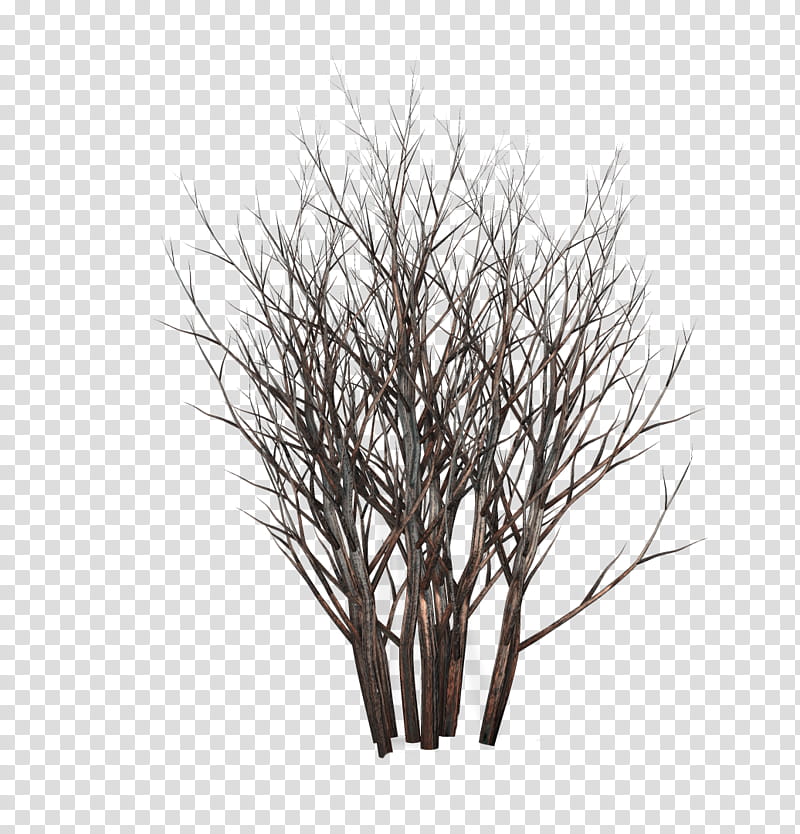 TWD Dead bushes, brown branch transparent background PNG clipart