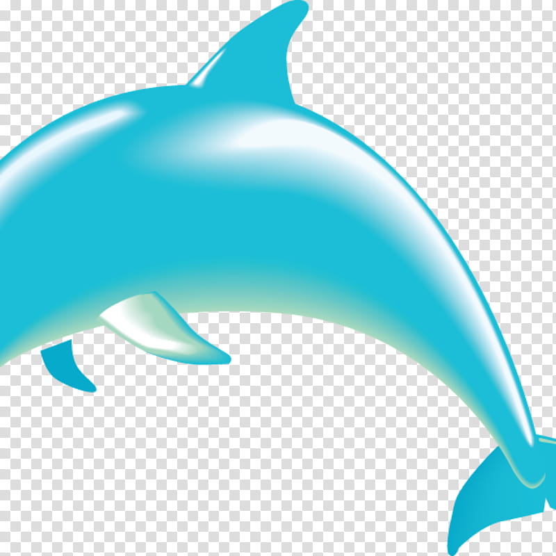 Dolphin, Drawing, Spinner Dolphin, Hourglass Dolphin, Sea, Pacific Whitesided Dolphin, Bottlenose Dolphin, Fin transparent background PNG clipart