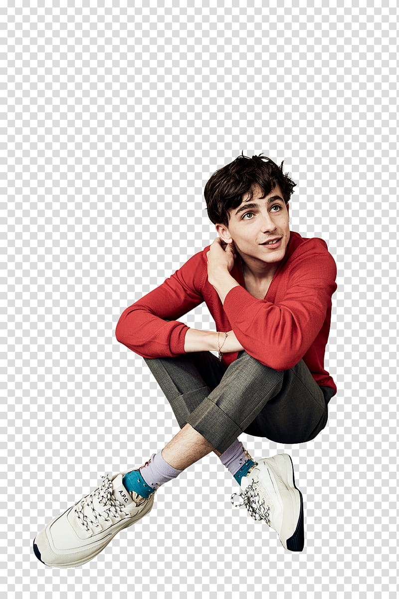 PACK  . TIMOTHEE CHALAMET,  icon transparent background PNG clipart
