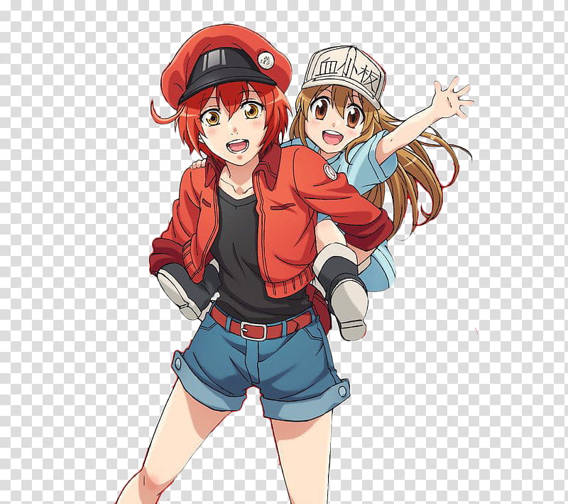 Hataraku Saibou Cells at Work Icon, Hataraku Saibou Render, girl riding on  back of woman anime characters transparent background PNG clipart