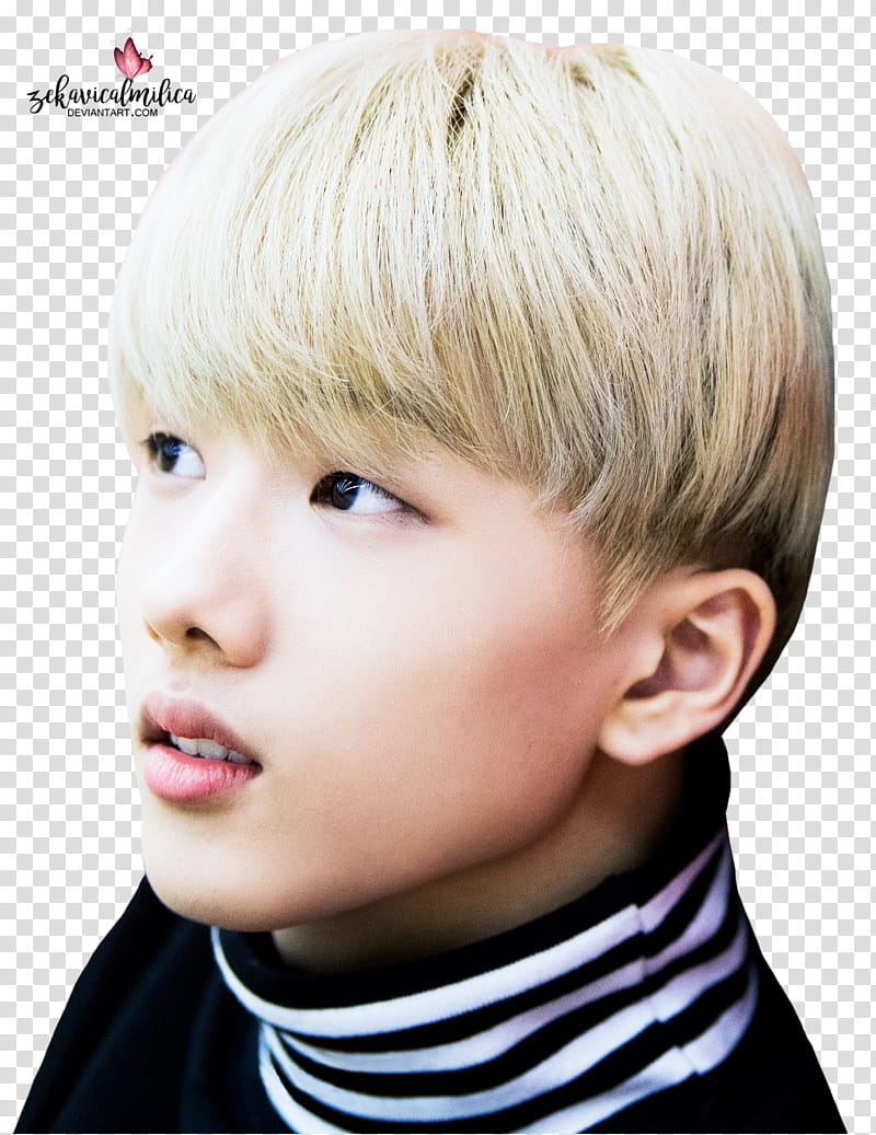 Nct Jisung Sweet Valentine Day Transparent Background Png Clipart Hiclipart