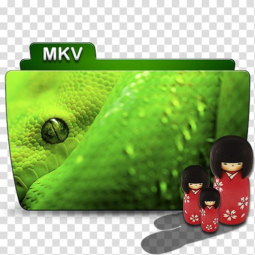 MKV HD Videos Folder Icon ColorFlow , MKV Snake transparent background PNG clipart