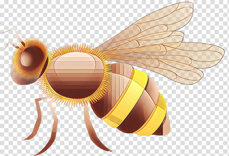 Bumblebee, Cartoon, Insect, Honeybee, Membranewinged Insect, Pest, Fly transparent background PNG clipart