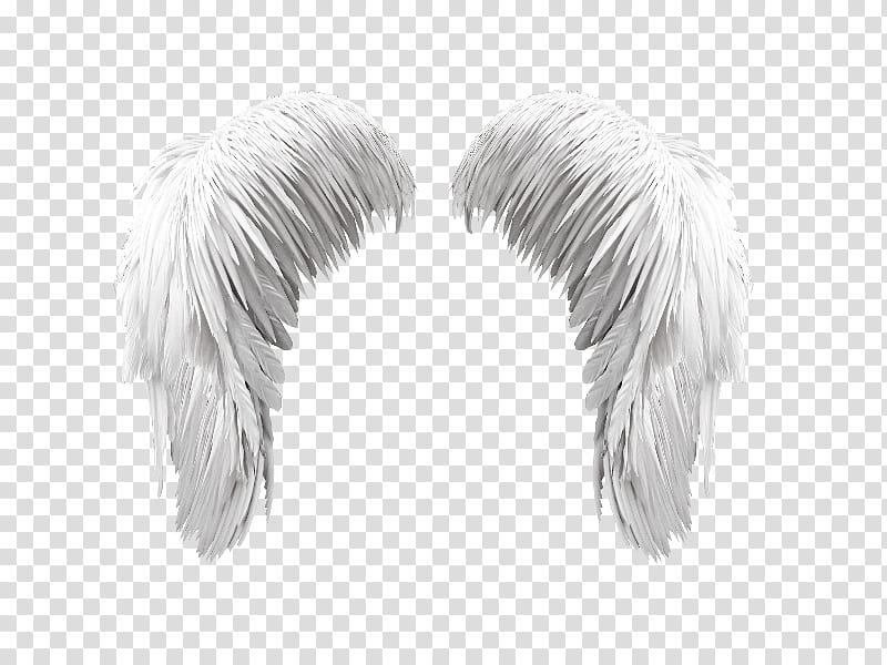 Angel, Drawing, Editing, Feather, White, Quill, Earrings transparent background PNG clipart