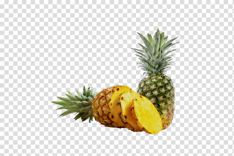 Family Tree, Pineapple, Superfood, Ananas, Fruit, Natural Foods, Plant, Yellow transparent background PNG clipart