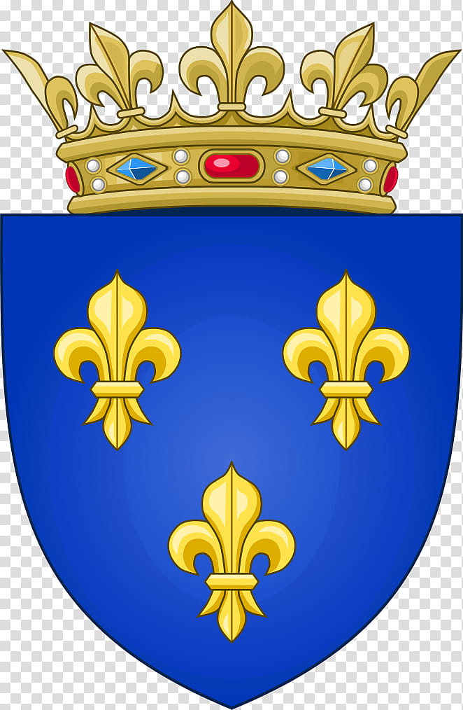 French FLAG Kingdom of France Royal King Fleur de Lys Flag Flag King