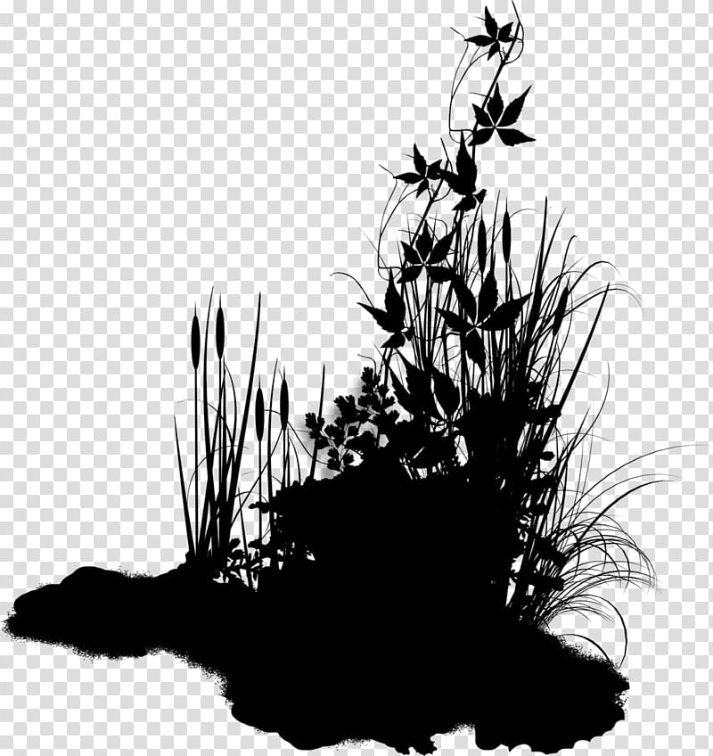 Black And White Flower, Black White M, Silhouette, Plant, Grass, Blackandwhite, Vehicle transparent background PNG clipart