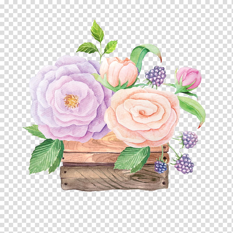 Garden roses, Flower, Pink, Cut Flowers, Plant, Violet, Purple transparent background PNG clipart