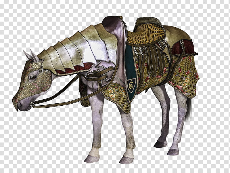Knight Horse, white horse transparent background PNG clipart