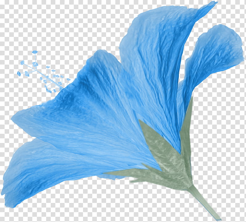 Sail Away Scrap Kit Freebie, blue petaled flower transparent background PNG clipart