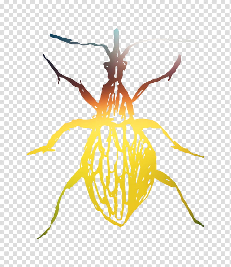 Insect Insect, Pest, Pollinator, Membrane, Parasite, Beetle transparent background PNG clipart
