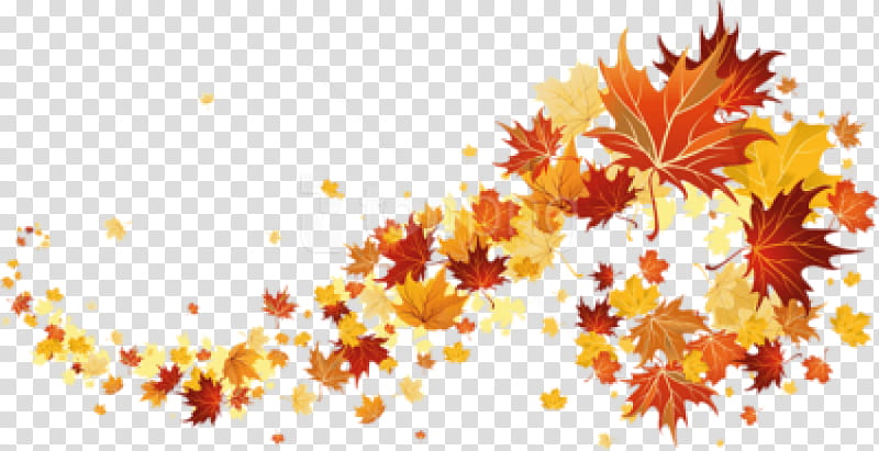 Autumn Tree Branch, Golden Autumn, Autumn Leaf Color, Season, Yellow, Orange, Maple Leaf, Woody Plant transparent background PNG clipart
