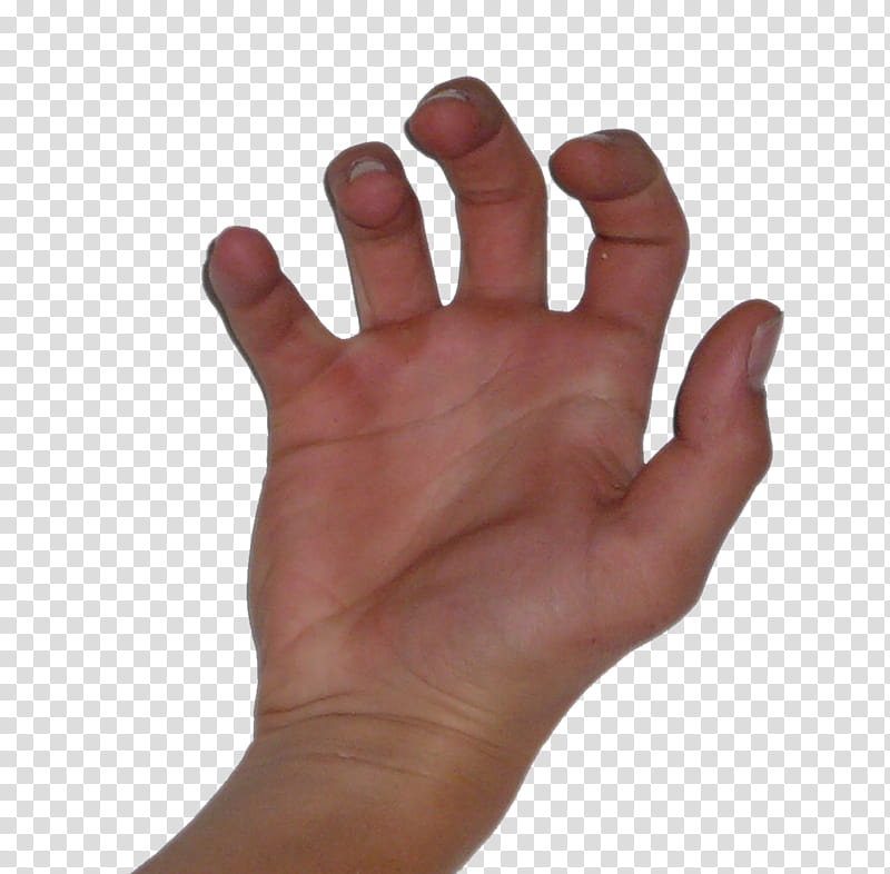 Hand s, right human palm transparent background PNG clipart