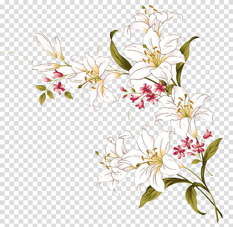 Cherry Blossom Flower, Throw Pillows, Floral Design, Cushion, Lily, Painting, Ornament, Plant transparent background PNG clipart