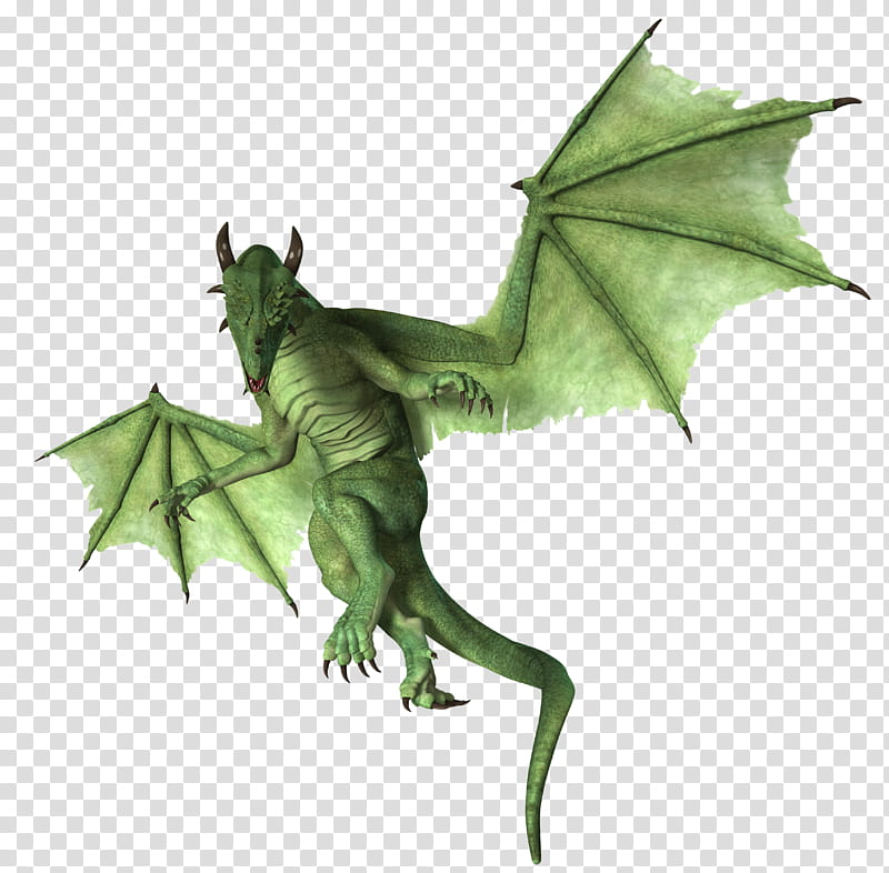 Dragon, green dragon illustration transparent background PNG clipart