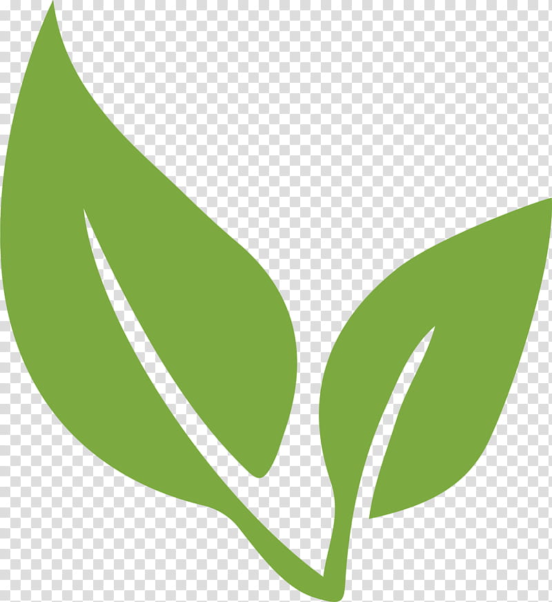 green tea leaf icon