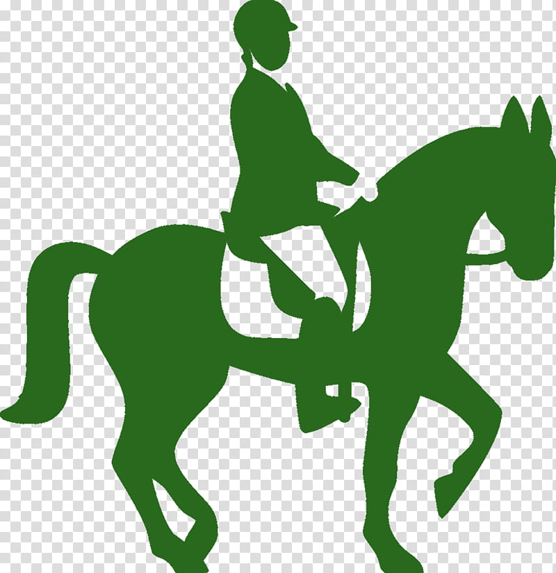 Horse, Arabian Horse, Horse Racing, Equestrian, Canter And Gallop, Equestrian Helmets, Driving, Green transparent background PNG clipart