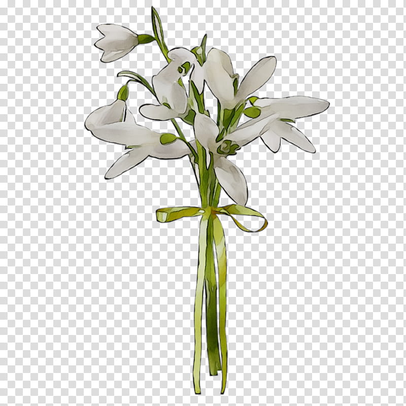 Lily Flower, Table, Vase, Furniture, Garden, Cut Flowers, Bench, Falabella transparent background PNG clipart