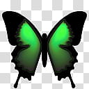 Butterfly Cam, ButterflyCam_Green_D icon transparent background PNG clipart