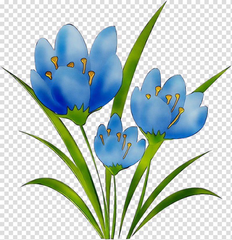 Snow, Crocus, Herbaceous Plant, Plant Stem, Tulip, Plants, Flower, Blue transparent background PNG clipart