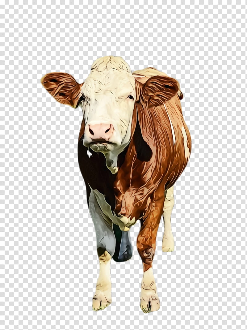 cow PNG transparent image download, size: 650x726px