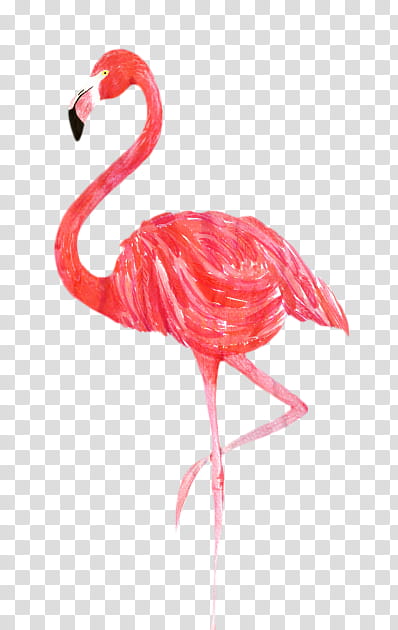 Flamingo Watercolor, Watercolor Painting, Drawing, Artist, Printmaking, Greater Flamingo, Bird, Pink transparent background PNG clipart