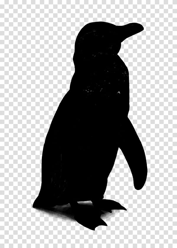 Bird Silhouette, Penguin, Beak, Black M, Flightless Bird, Fur Seal transparent background PNG clipart