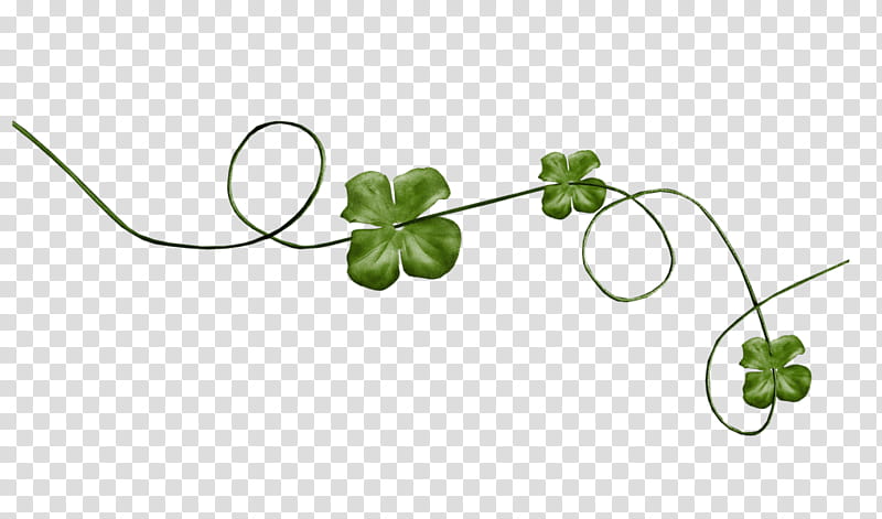 Saint Patricks Day, Blog, Skyrock, Fourleaf Clover, Corel, Dream, Green, Plant transparent background PNG clipart
