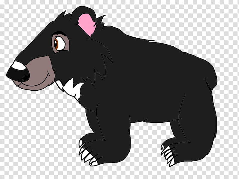 bear PNG transparent image download, size: 3364x2644px