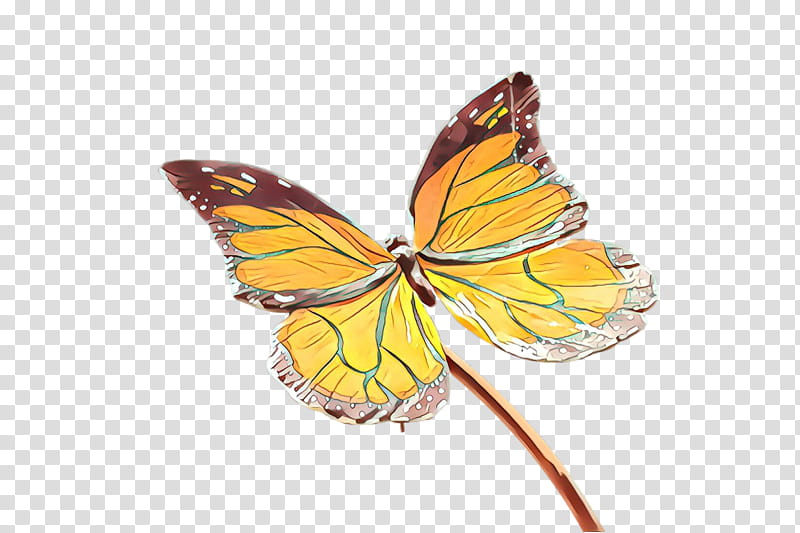 Monarch butterfly, Moths And Butterflies, Insect, Pollinator, Brushfooted Butterfly, Lycaenid, Pieridae, Riodinidae transparent background PNG clipart