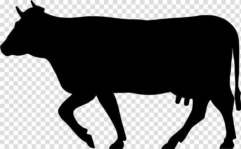 Family Silhouette, Jersey Cattle, Angus Cattle, Holstein Friesian Cattle, Sahiwal Cattle, Dairy Cattle, Beef Cattle, Dairy Farming transparent background PNG clipart