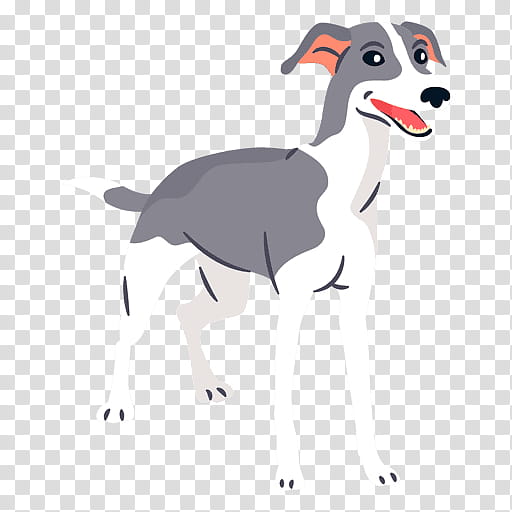 Dog Drawing, Italian Greyhound, Whippet, Cartoon, Sighthound transparent  background PNG clipart | HiClipart