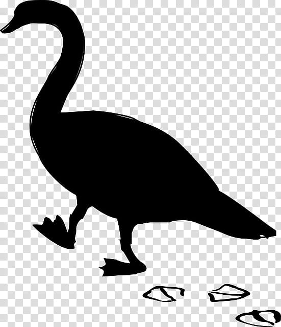 Bird Silhouette, Duck, Goose, Fowl, Beak, Water Bird, Ducks Geese And Swans, Waterfowl transparent background PNG clipart